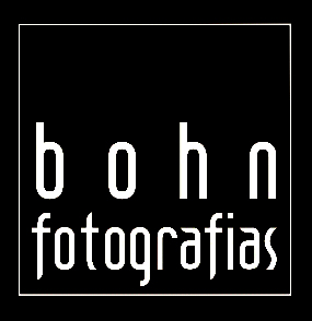 Bohn Logo